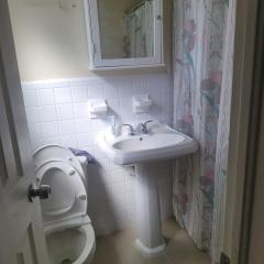 PalmBeachLakePoolFloridaHouseup9PeoplePurl