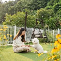 Gapyeong Ddobagi Pet & Spa Glamping