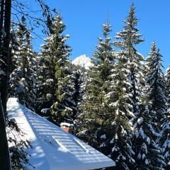 Triglav NP Apartment - above Bled