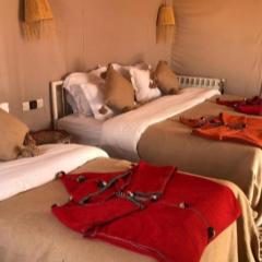 Sahara Luxe Camp