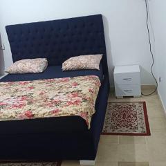 حي النصر أريانة