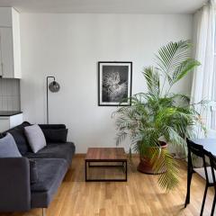 Luxury Apartment in Central Geneva