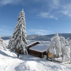Studio reposant à la montagne