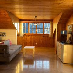 Sunny Appartement with a beautiful view in Alvaneu Dorf