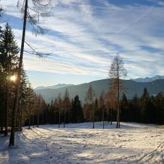 Apartment Panorama Val di Non