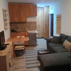 Ana Apartment River Sava Beograd