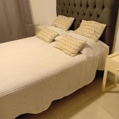 Departamento zona centro