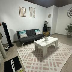 PURA VIDA AIRPORT STAY FREE SHUTTLe