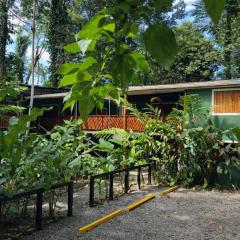 Hotel Boutique The Green Jungle House