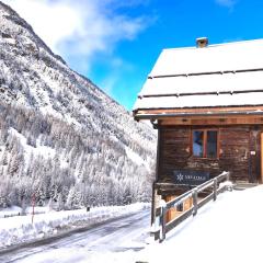 Chalet prestige 14 pers au pied des pistes