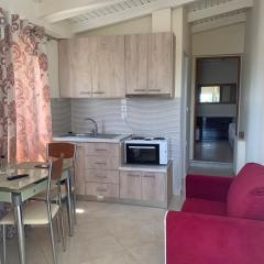 vasiliki's Apartments