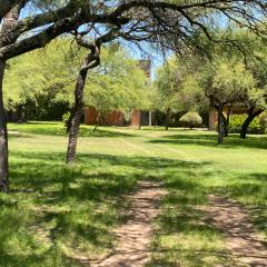 Las Luciernagas de Nono