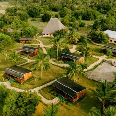 Signature Collections by Eight Continents