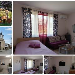 Ваканционно студио Трявна