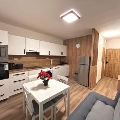 Apartmánový byt Nad řekou