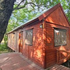 Cabaña Natural Del Bosque