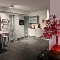 Beautiful loft, free parking, near Antwerp