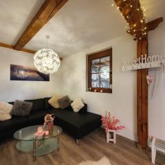 Rennerhof-Siebeneichen Fewo Waschbär