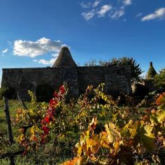 Domaine des Moulins de Montreuil