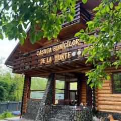Căsuța Bunicilor de la Munte