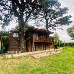 Cabaña en el bosque de Necochea