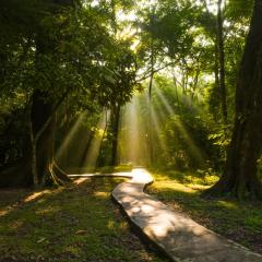 Hotel Nututun Palenque