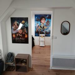 maison luxe harry potter aeroport beauvais tille 2a 5 personnes