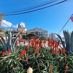 El Chalet del Gato, apartamento 1