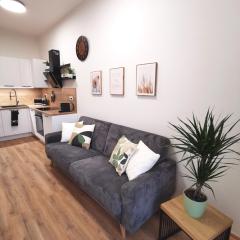 Sunny Balcony Apartment Brno