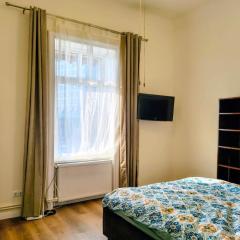 Flaviu's Central Park apartment with Garden
