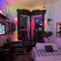 Unique Brooklyn Brownstone Studio Bedstuy