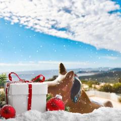 STUDIO POOL HOUSE 2 ETOILES VUE MER PANORAMIQUE AMAZING SEA VIEW WIFI LINGE LINEN INCLUS AIRCONDITIOn