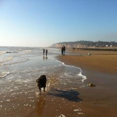 Pett Level Beach House