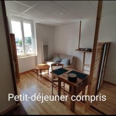 Studio sympa et très calme entre canal et Loire