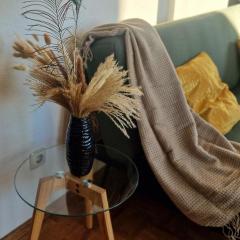 Cozy and fully equipped flat in the centrum