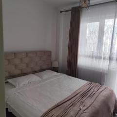 Apartment for rent Sf Ilie 7