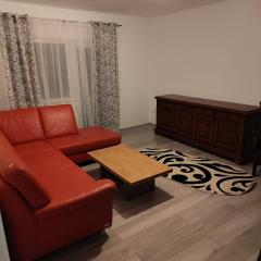 Apartment for rent G Enescu 14