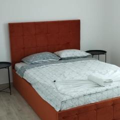 Apartment with one bedroom for rent 73