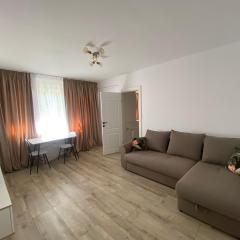 Apartment for rent with living and bedroom G Enescu 19