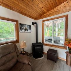 Bear Den on No Name Creek