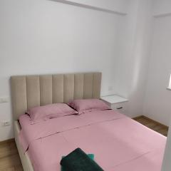 Apartment for rent 4 min from Iulius mall 17