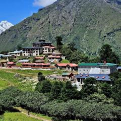 The Himalayan Tyangboche