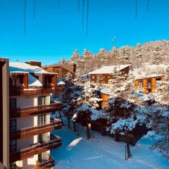 Bakuriani inn Apartment