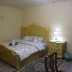 العين الهيلي مصباح ب1