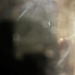 Wadebridge Farm Lodge - Family Run Bungalow