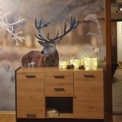 LECHUFER, 80m2, Haushälfte mit privatem Eingang, Kaminofen, Terrasse, Garten