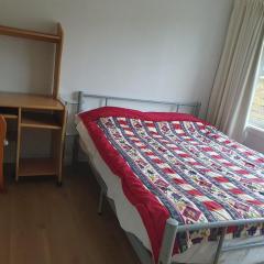 Holiday House in Central North Shore Auckland