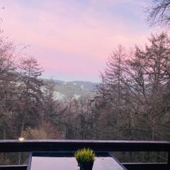 Woody Lodge - Duplex Nature Bonsoy Ardennes