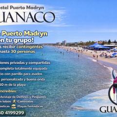Guanaco Hostel