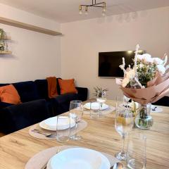 BB Apartment 10 min spacerem do Centrum WIFI Baza wypadowa w BESKIDY